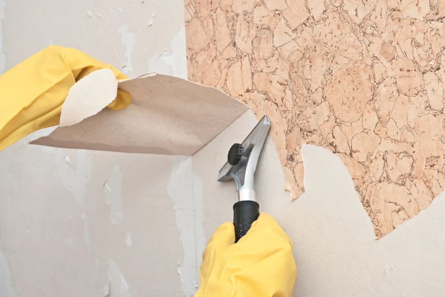wallpapaler removal service wallpapaler removal service